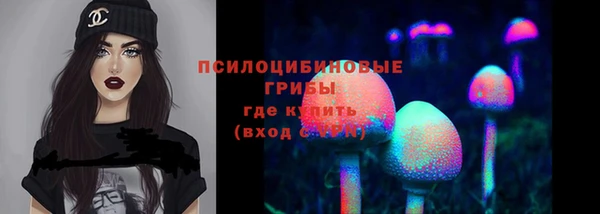 apvp Абаза