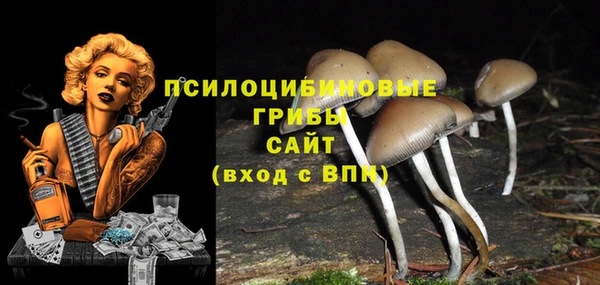 синтетический гашиш Абдулино