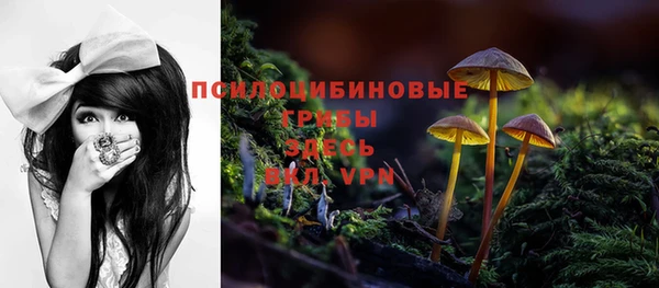 apvp Абаза
