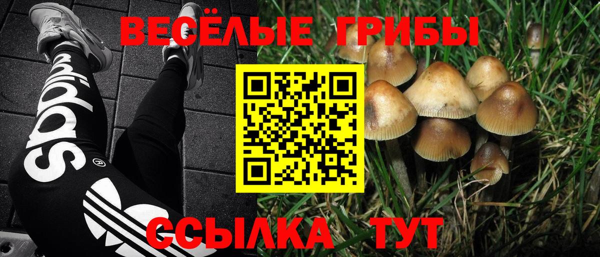 что такое   Вход с VPN  Ялуторовск  Галлюциногенные грибы Cubensis 