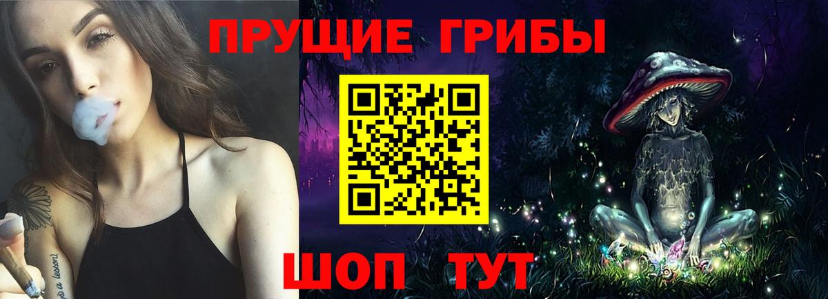 Галлюциногенные грибы Psilocybe Ялуторовск